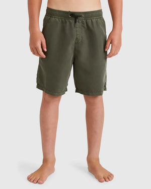 Boys All Day OVD Layback Boardshorts