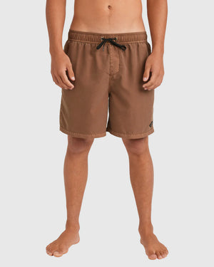 All Day OVD Layback Boardshorts