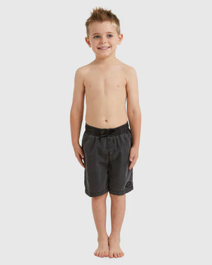 Boys 0-7 All Day Overdye Layback Boardshorts 13"