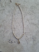 Shell Necklace