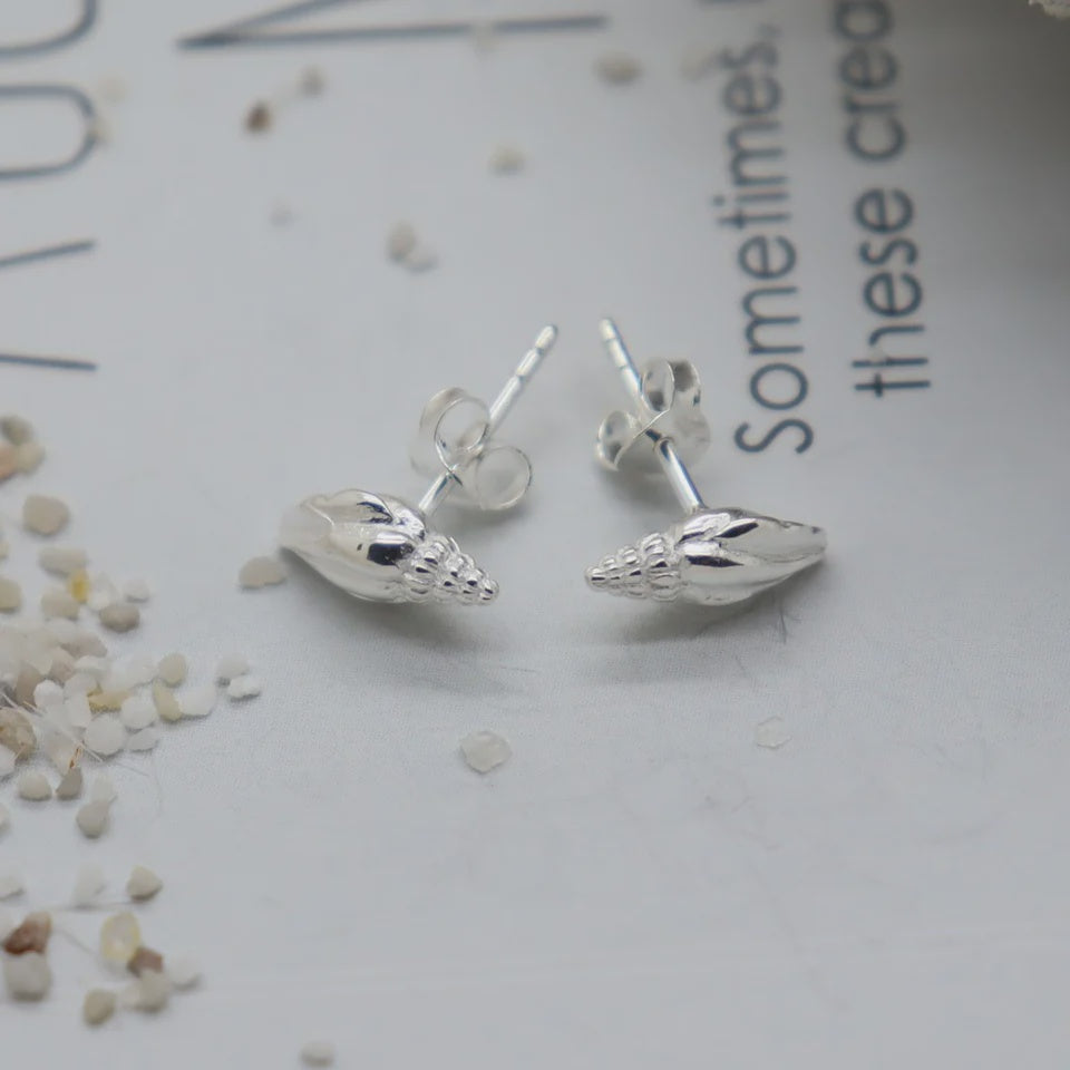 Seashell Stud Earrings