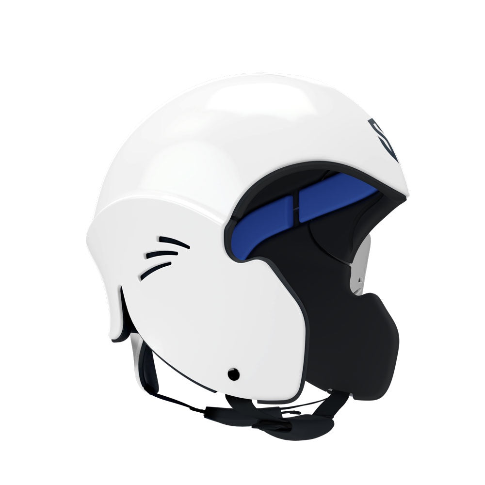 Sentinel Helmet