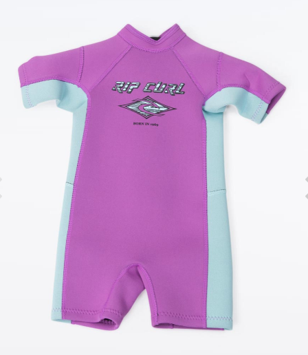 Groms Omega S/SL Spring