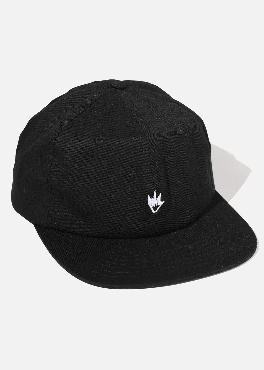 Since 2006 Panel Cap