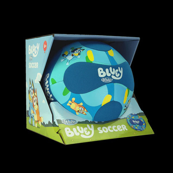 Bluey Soccer Ball