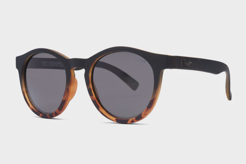 Six Shooter Black Gold Tortoise